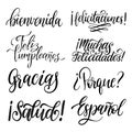 Translated from Spanish handwritten phrases Welcome,Thank You, Why etc. Vector calligraphy set on white background.