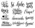 Translated from Spanish handwritten phrases Welcome,Thank You, Yes etc. Vector calligraphy set on white background.