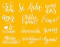 Translated from Spanish handwritten phrases Welcome,Thank You, Yes etc. Vector calligraphy set on white background.