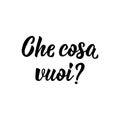 Translation from Italian: What do you want. Vector illustration. Lettering. Ink illustration. Che cosa vuoi