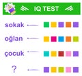 Translation of Turkish words into English: street boy, kid. IQ Test. What word should be instead of a question mark?