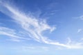 Translucent airy cirrus clouds high in a blue sky. Cloud species and varieties. Atmospheric phenomena. Skyscape on a sunny day