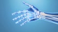 Translucent Blue Human Hand And Forearm Bone Anatomy Royalty Free Stock Photo