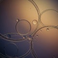 Translucent bubbles of varying sizes float in liquid, creating an abstract composition. Royalty Free Stock Photo