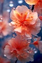 Translucent Floral Serenity with Water Bubbles Royalty Free Stock Photo
