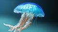 Translucent Jellyfish Gliding Gracefully Through the Deep Ocean Waters with Bioluminescent Glow Royalty Free Stock Photo