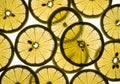 Translucent Lemon Slices with Sunlight Patterns Royalty Free Stock Photo