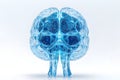 Translucent light blue human brain model Royalty Free Stock Photo