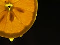 Translucent Orange Royalty Free Stock Photo