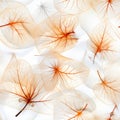 Translucent orange foliage skeleton pattern on white background for versatile designs Royalty Free Stock Photo