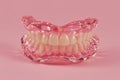 Translucent Pink Full Denture on Pink Background Royalty Free Stock Photo