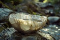 Translucent Quartz Crystal Bowl in Nature