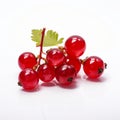 Translucent Red Currants On White Background - Creative Commons Attribution Royalty Free Stock Photo