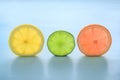 Translucent slices of lemon orange grapefruit & lime on blue background. Royalty Free Stock Photo