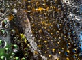 Translucent water droplets are located against the multicolored background with a yellow-black-white bird feather. Royalty Free Stock Photo