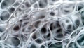 Translucent Fiber Web: Delicate and Intricate Organic Patterns, generative ai Royalty Free Stock Photo