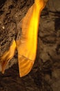 Translucent yellow stalactite curtain in cave in dolomite rock in Czech Republic