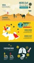 Transmission and Evolution of the Mers-CoV virus.