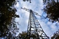 Transmission tower in the forest of Nussloch
