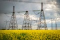 Transmission towers in the middle of a yellow canola field in bloom. High voltage power line at Spring Royalty Free Stock Photo