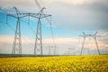 Transmission towers in the middle of a yellow canola field in bloom. High voltage power line at Spring Royalty Free Stock Photo