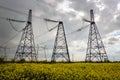 Transmission towers in the middle of a yellow canola field in bloom. High voltage power line at Spring Royalty Free Stock Photo