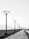 Transmission towers, power posts near a road