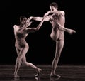 Transmit-Classical ballet `Austen collection`