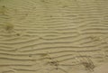 Transparant water. You see the ground. Sand
