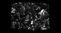 Transparencies. Transparent plastic film texture isolated on black background