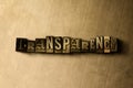 TRANSPARENCY - close-up of grungy vintage typeset word on metal backdrop