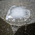 Transparency and internal flaws of the ice, such as air bubbles and fine Royalty Free Stock Photo