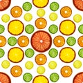 Transparency sliced colorful fruits on white background. Rings of grapefruit, lemon, tangerine and orange Royalty Free Stock Photo