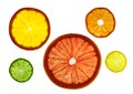 Transparency sliced colorful fruits on white background. Rings of grapefruit, lemon, tangerine and orange Royalty Free Stock Photo