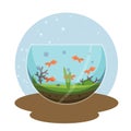 Transparent aquarium with golden fish vector illustration isolated on white. Fish aquarian house underwater tank bowl
