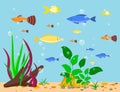 Transparent aquarium sea aquatic background vector illustration habitat water tank house underwater fish algae plants. Royalty Free Stock Photo