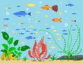 Transparent aquarium sea aquatic background vector illustration habitat water tank house underwater fish algae plants. Royalty Free Stock Photo