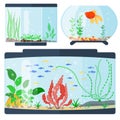 Transparent aquarium vector illustration habitat water tank house underwater fish tank bowl. Royalty Free Stock Photo