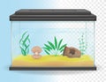 Transparent aquarium vector illustration