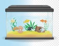 Transparent aquarium vector illustration