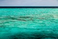 Transparent azure water with coral reef Royalty Free Stock Photo