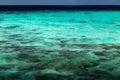 Transparent azure water with coral reef Royalty Free Stock Photo