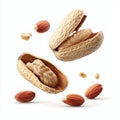 Transparent background with half-opened peanut shells Royalty Free Stock Photo