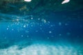 Transparent blue sea and a lot of Jellyfish glides underwater Royalty Free Stock Photo