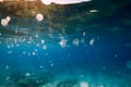 Transparent blue sea and a lot of Jellyfish underwater Royalty Free Stock Photo