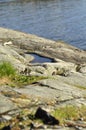 Transparent blue water by the seashore. Puddle of water and cracks with grass vectors at a cliff. Beautiful calm scenary in