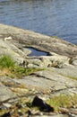 Transparent blue water by the seashore. Puddle of water and cracks with grass vectors at a cliff. Beautiful calm scenary in