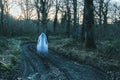A transparent blurred ghostly hooded figure standing on a path in a forest in winter. With a grainy muted edit