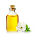 Transparent bottle with cork stopper and flower with yellow essential oil isolated