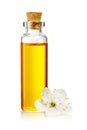 Transparent bottle with cork stopper and flower with yellow essential oil isolated